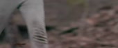 1206x500