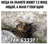 960x886