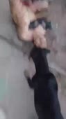360x640