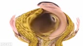 1280x720