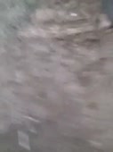 480x640