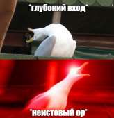 462x477