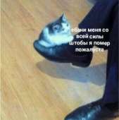 599x600