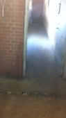 202x360
