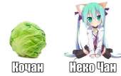 604x382