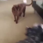 360x360