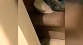 400x220