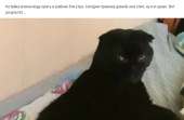 696x458