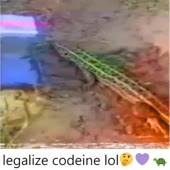 1080x1080