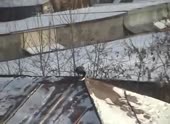 490x360