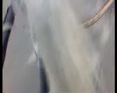 450x360