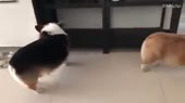 400x224