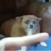 360x360