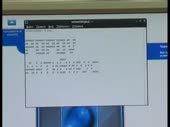 320x240