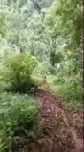 360x640