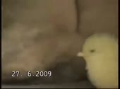 400x300
