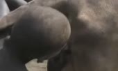 600x360