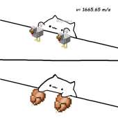 768x768