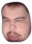 438x593