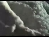 320x240