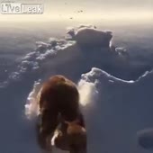360x360