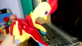1280x720