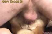 300x200