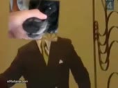 480x360