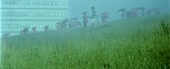 640x262
