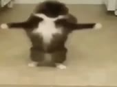 480x360