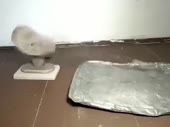 320x240
