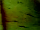 320x240