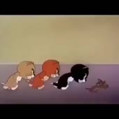 360x360