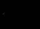 512x384