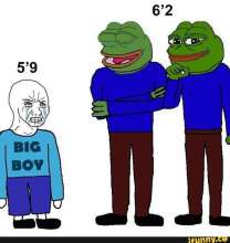 739x779