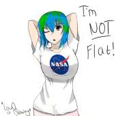 736x736