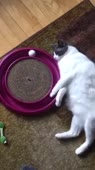 360x640