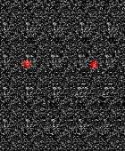 894x1079