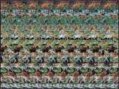 500x376