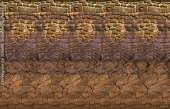 800x517