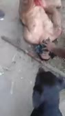 360x640