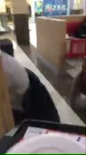 406x720