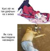 772x774