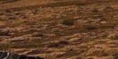 560x283