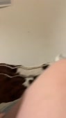 720x1280