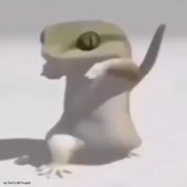 320x320