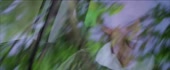 1280x528