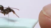 478x268