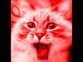 480x360