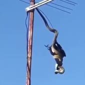 360x360